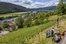 Weinberg Gemünden am Main