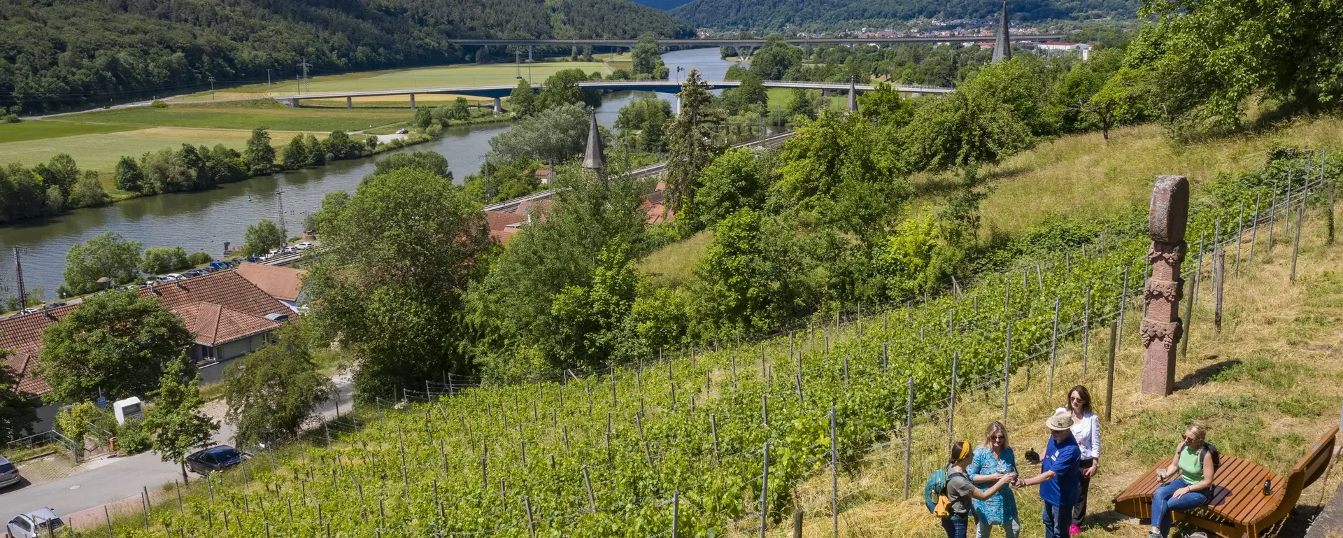 Weinberg Gemünden am Main - © Spessart-Mainland, Holger Leue Weinberg Gemünden am Main