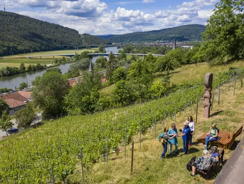 Weinberg Gemünden am Main