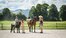 Reitunterricht auf dem Bauernhof in der Alpenregion Tegernsee Schliersee