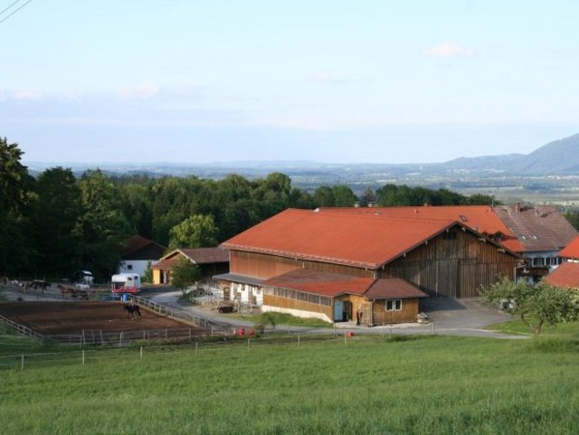 Große Ausrittmöglichkeiten auf dem Reiterhof mit Reitunterricht