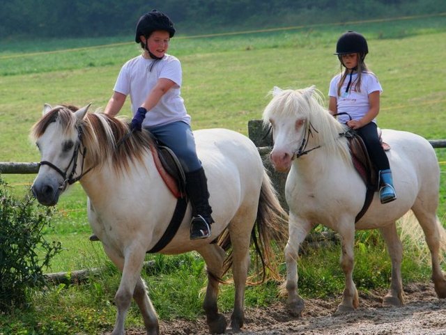 Reitplatz auf dem Wieshof  in Kirchberg im Bayerischen Wald