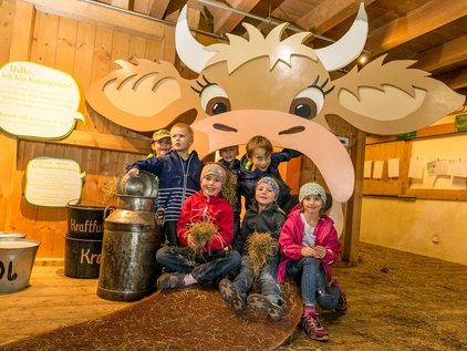 Kinder erfahren alles über die Funktion des Kuhmagens im Allgäuer Bergbauernmuseum