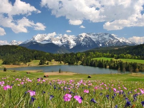 Gestern noch tief verschneit und schon morgen mit vielfältiger Blumenpracht überzogen. Das ist Frühlingserwachen in der Alpenwelt Karwendel - eine wahre Blütenpracht in allen Farben.