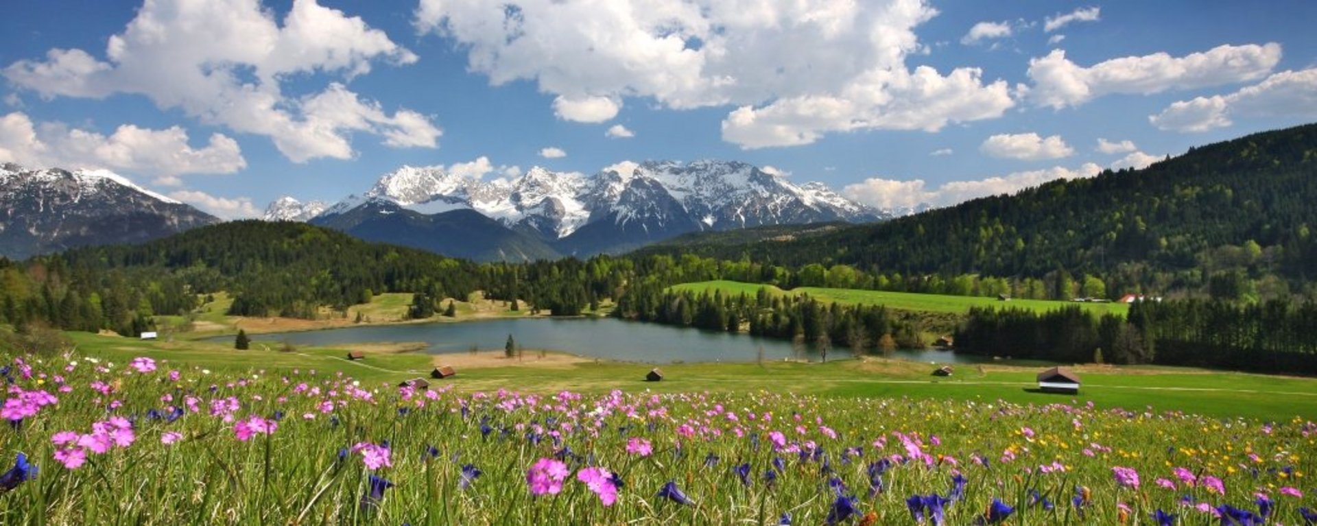Gestern noch tief verschneit und schon morgen mit vielfältiger Blumenpracht überzogen. Das ist Frühlingserwachen in der Alpenwelt Karwendel - eine wahre Blütenpracht in allen Farben.