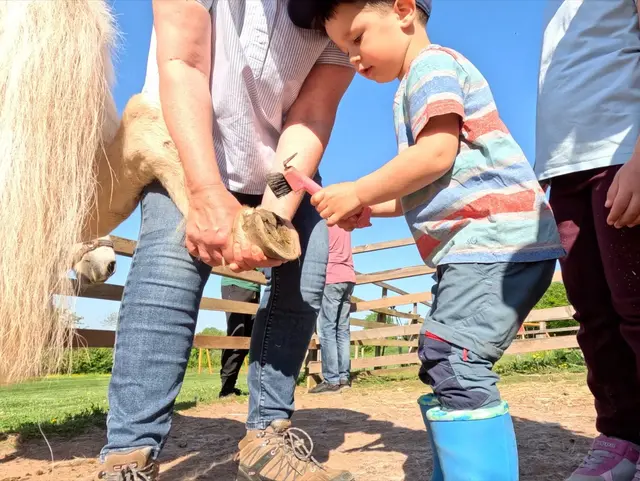 Jeder darf Mithelfen - © Andreas Kern Mithilfe bei der Versorgung der Tiere