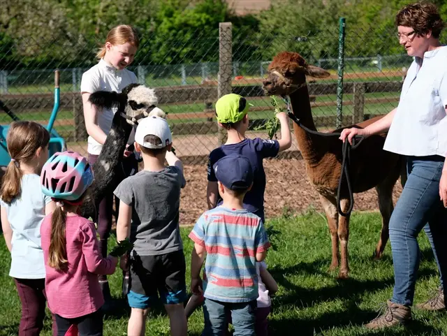 Alpaka Meeting - © Andreas Kern Alpaka Meeting mit Kindern