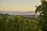 Weinberge in Lindau