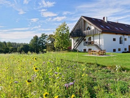 Natur pur um den Hof © Hagerhof Der Hagerhof steht mitten in der Natur für viele Sportmöglichkeiten