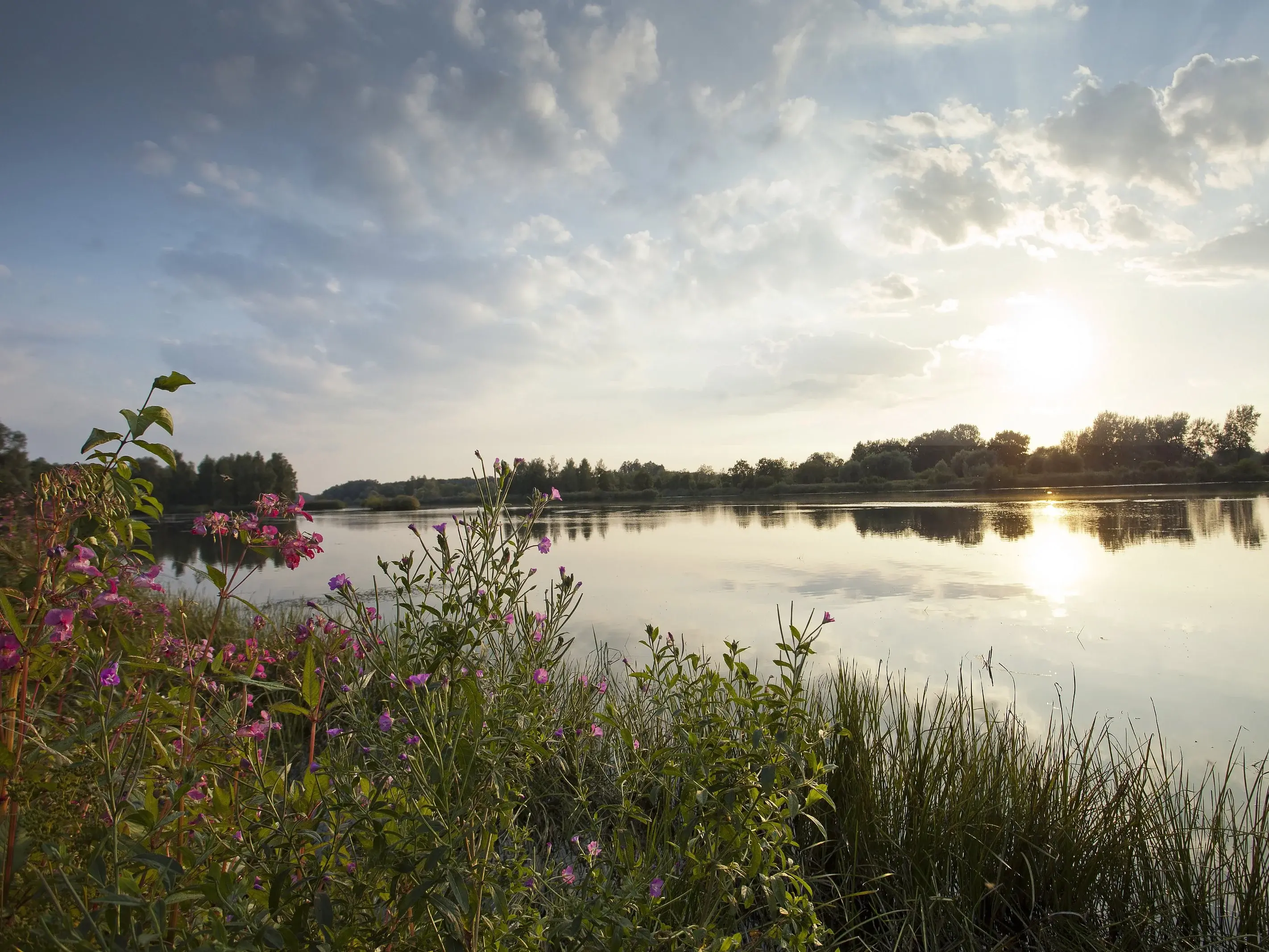 Landschaft entlang der Donau in Bayerisch Schwaben