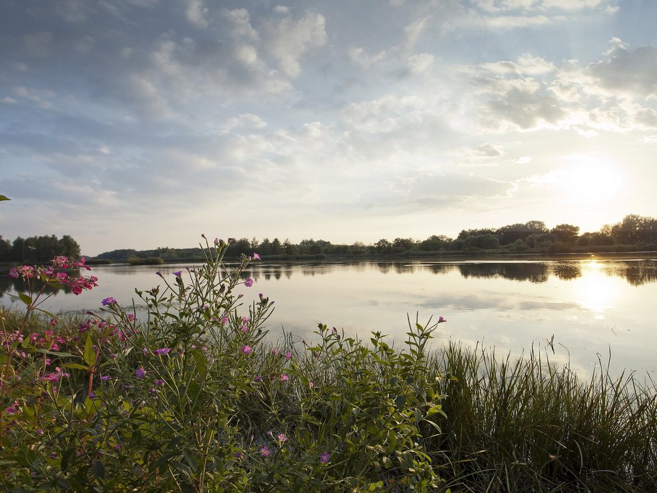 Landschaft entlang der Donau in Bayerisch Schwaben