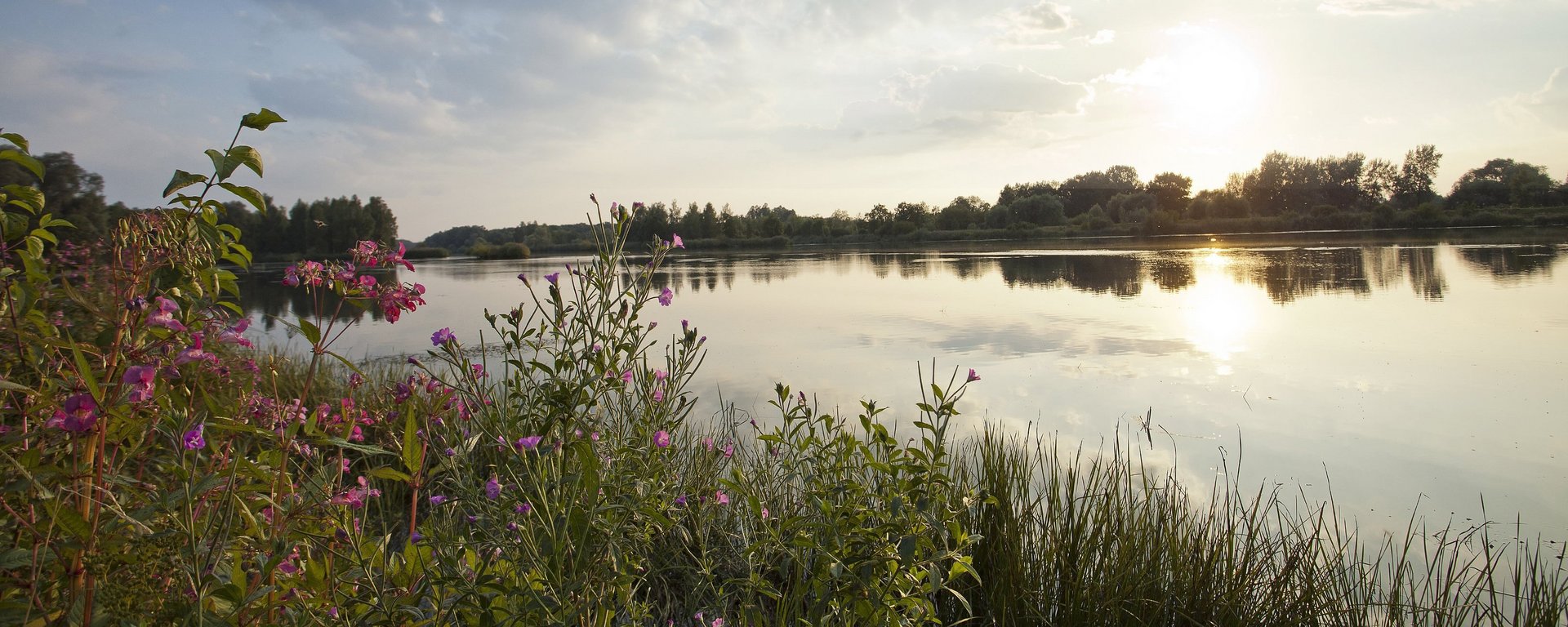 Landschaft entlang der Donau in Bayerisch Schwaben