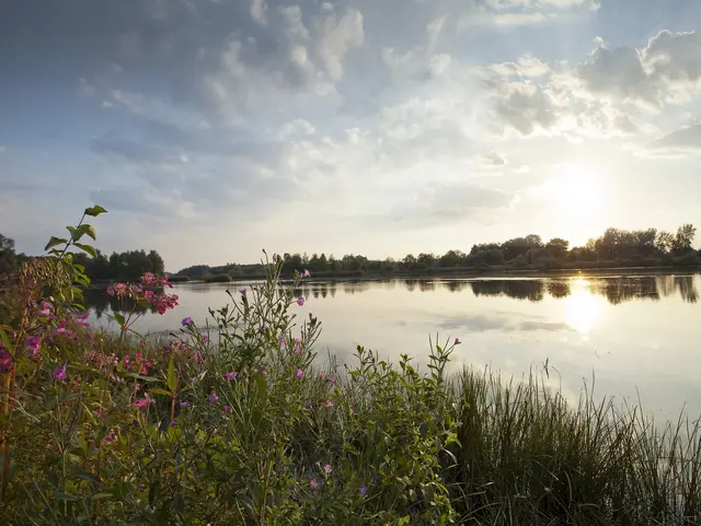 Landschaft entlang der Donau in Bayerisch Schwaben