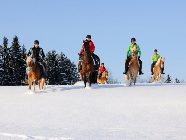 Urlaub auf dem Reiterhof im Winter mit Ausritten durch den Schnee in der Region Chiemsee