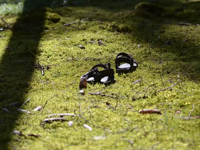 Barfuss Station auf dem Moosbett auf dem Weg der 6 Sinne