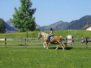 Reiten auf dem Ferienhof © Haflingerhof Kematsried Ausreiten auf der eigenen Anlage auf dem Hof