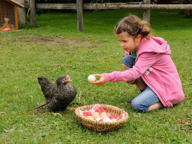 Kind und Huhn mit Ei
