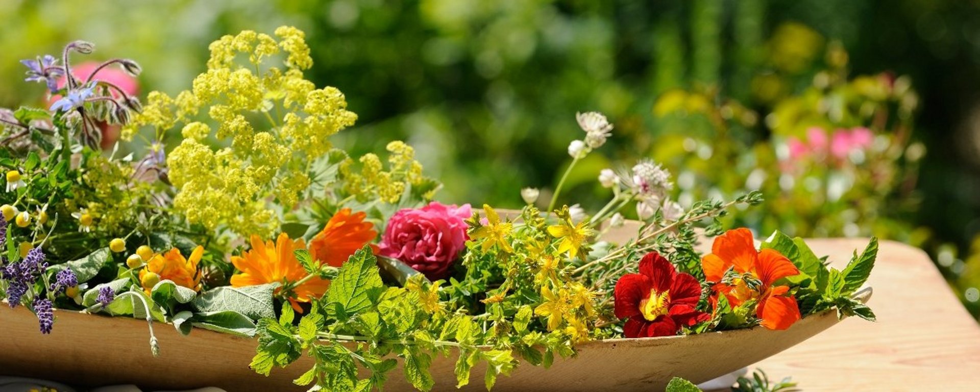 Kräuter und Blumen duftend frisch vom Bauernhof aus der Region Chiemsee