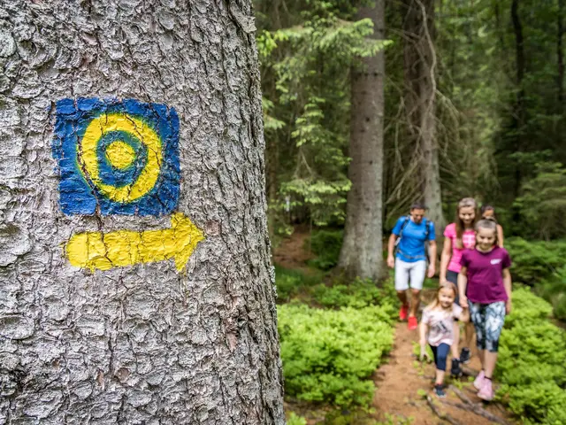 Goldlehrpfad in Oberviechtach im Oberpfälzer Wald