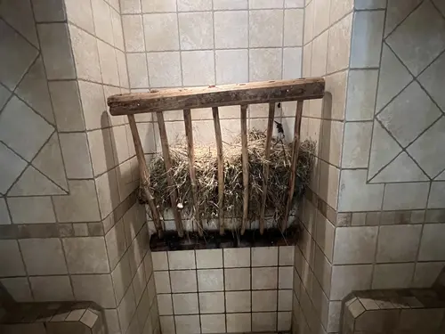 Heudampf Sauna © Tatjana Seel Heudampf Sauna im Ferienhof Lang