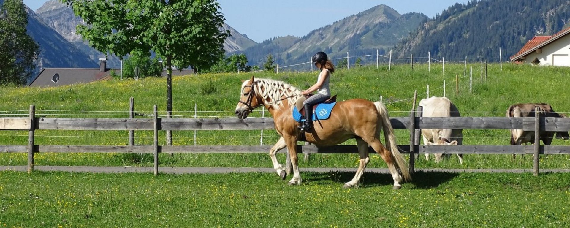 Urlaub auf dem Bauernhof mit dem eigenen Pferd
