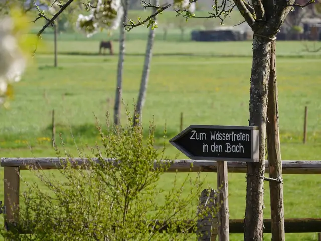 Urlaub am Bach