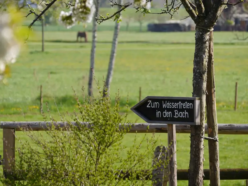 Urlaub am Bach