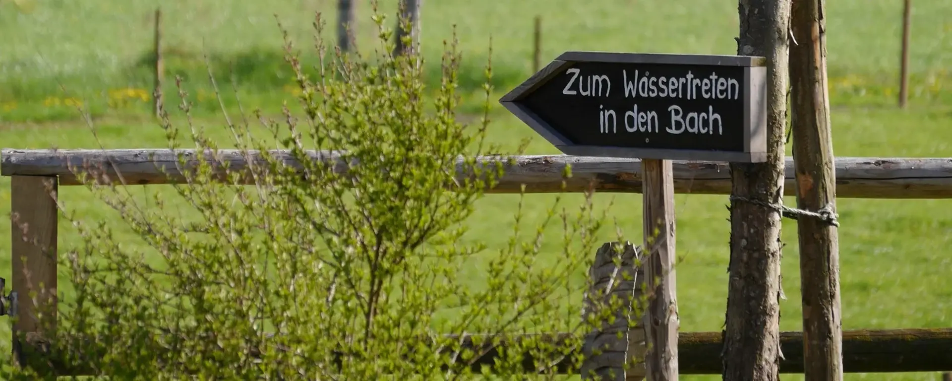 Urlaub am Bach