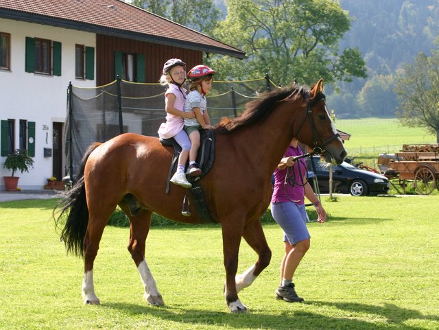Reitmöglichkeit auf Bauernhof für Kinder auf großen Pferden