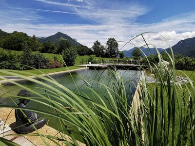 Knogler-Bauer mit Naturbadeteich © Knogler-Bauer Bauernhof mit Naturbadeteich mit Ausblick
