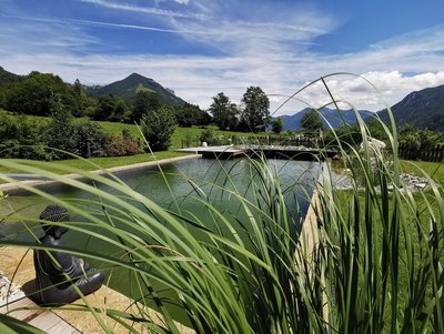 Bauernhof mit Naturbadeteich mit Ausblick