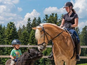 Begegnungen zwischen Erwachsenen, Kindern und Pferden auf dem Bauernhof