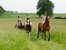 Ausritt mit den Pferden auf dem Bauernhof in der Region Chiemsee