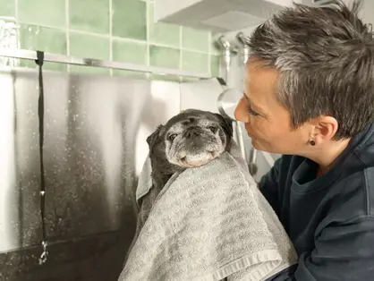 © Oida knoglerhof Hundedusche