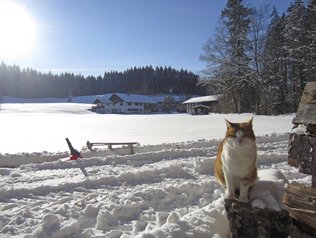 Alleinlage mitten im Schnee © Dürrs Landhof Ruhige Alleinlage zum Entspannen im Winter