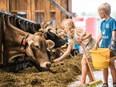 © Ferienhof am See Sulzberg Mitarbeit im Stall
