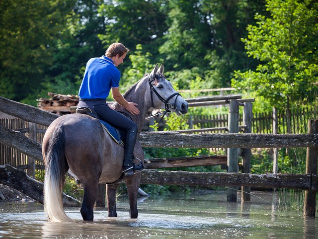 Mit dem eigenen Pferd ins Wasser ausreiten