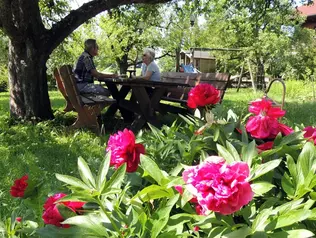 Während die Kinder spielen, genießen die Großeltern die Zeit im Garten