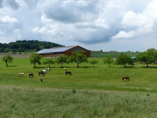 Große Koppel für Pferde © Ferienbauernhof Familie Rohn Koppeln für Auslauf rund um den Ferienhof