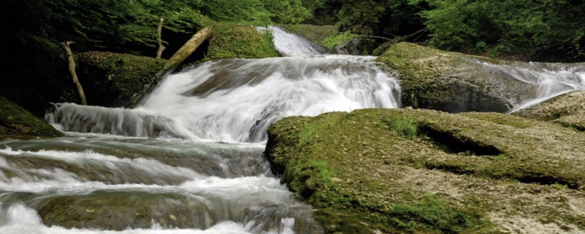 Flusslauf mit Wasserfall im Westallgäu