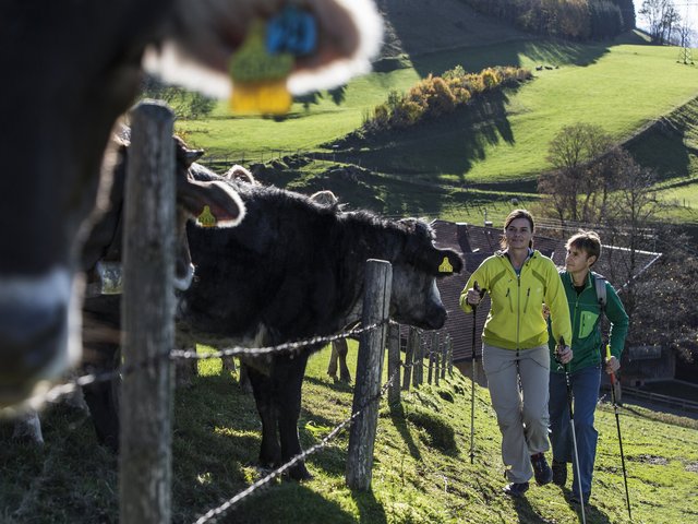 Wanderurlaub auf dem Bauernhof in Bayern