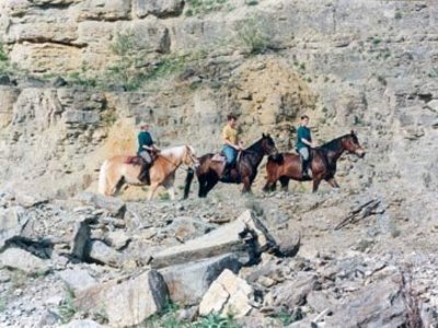 Ausritt mit den Pferden in den Steinbruch